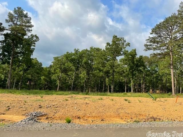Orchard Hill Lot 11 Ph 3  Conway AR 72034 photo