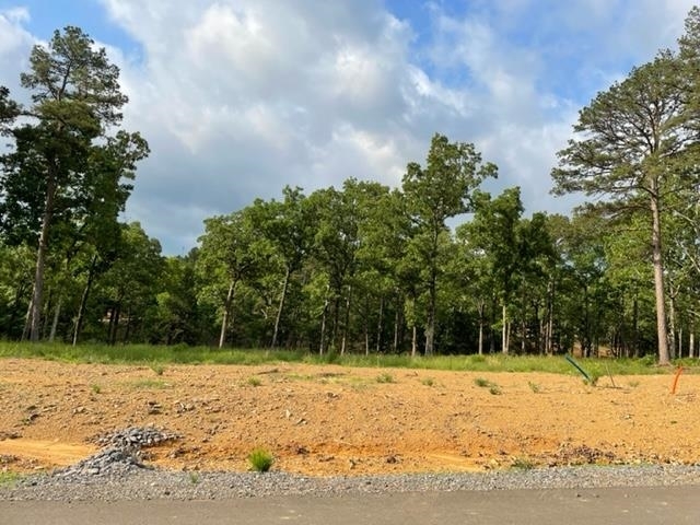 Property Photo:  Orchard Hill Lot 11 Ph 3  AR 72034 