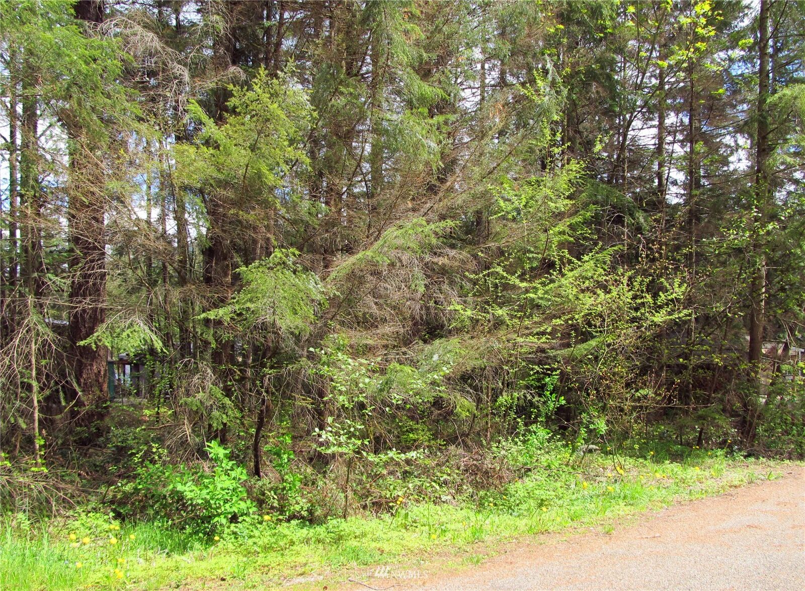 Property Photo:  8680 Bell Court  WA 98266 