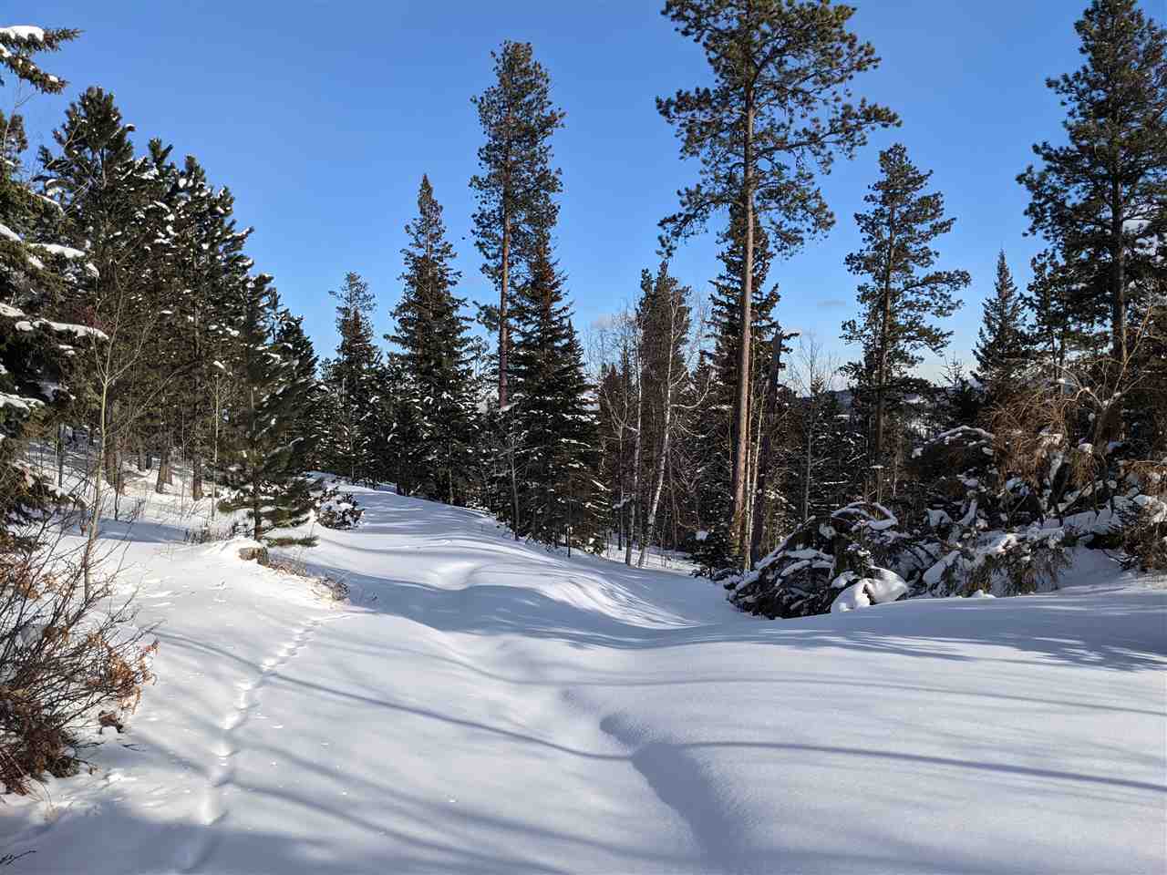M.s. 1221 Terry Summit Road  Lead SD 57754 photo