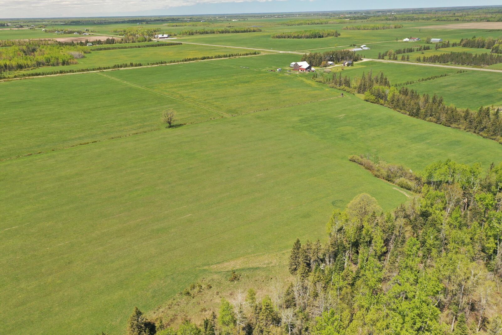 Property Photo:  Tbd S Steinbeck Rd  MI 49780 