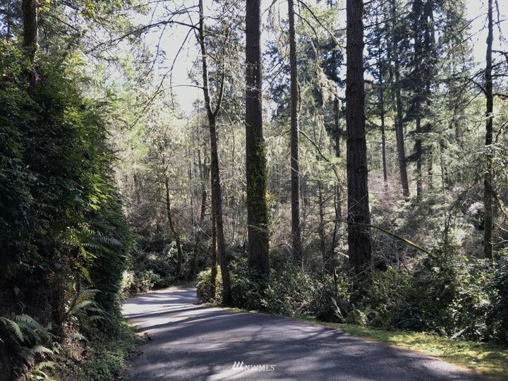 0 Xxx  Horsehead Bay Drive NW  Gig Harbor WA 98335 photo