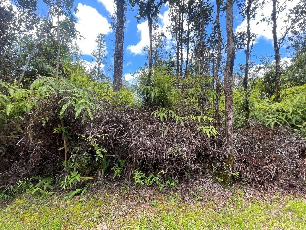 Property Photo:  Hopue Rd (Road 3)  HI 96771 
