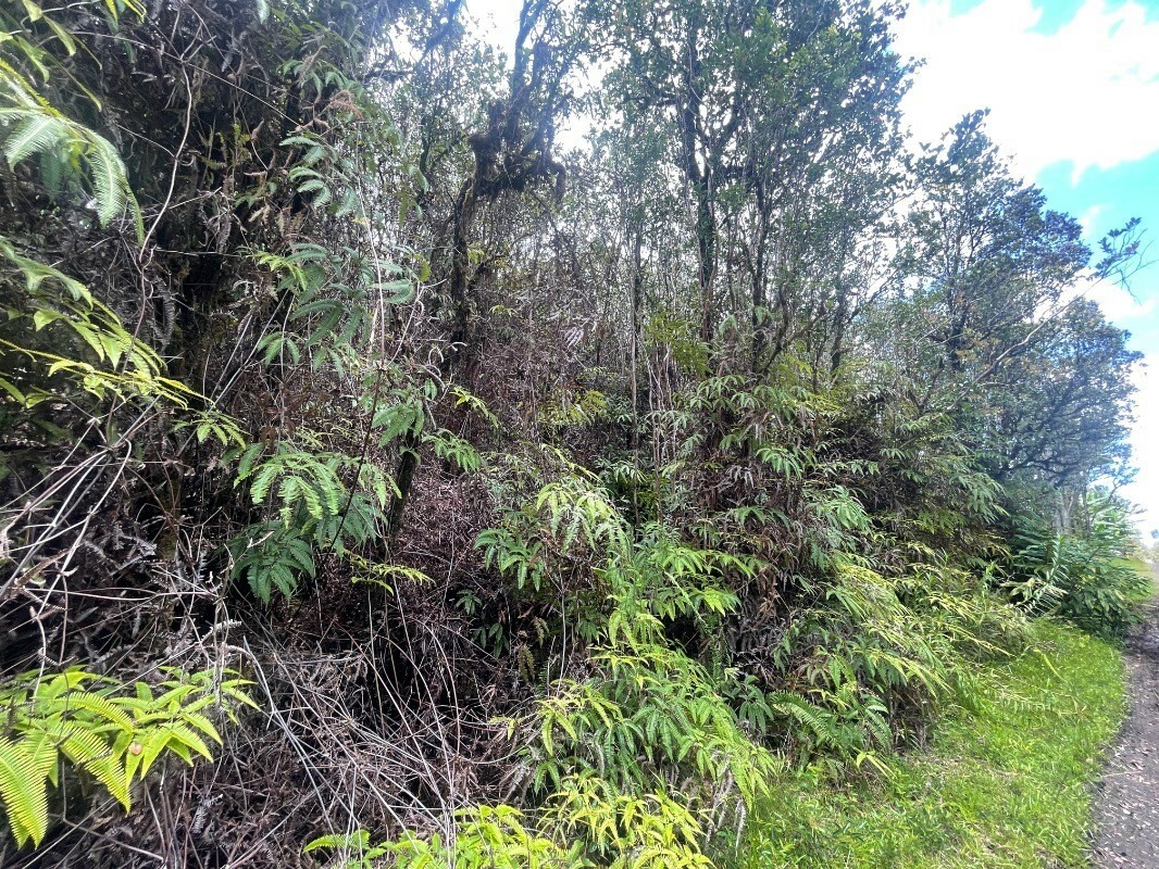 Property Photo:  Nene St  HI 96771 