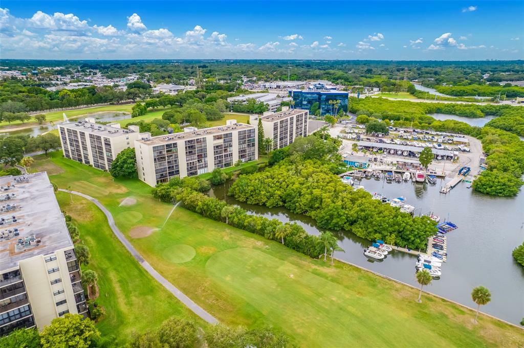 Property Photo: 900 Cove Cay Drive 2F FL 33760