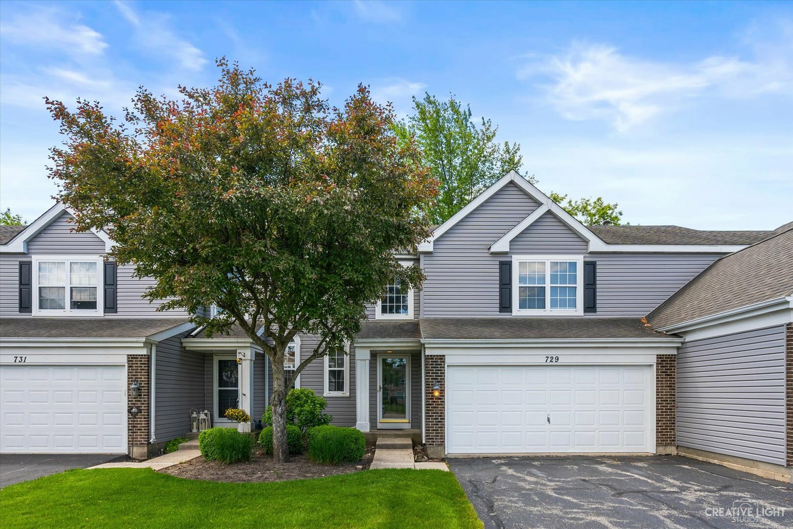 Property Photo: 729 Silk Oak Lane 729 IL 60014