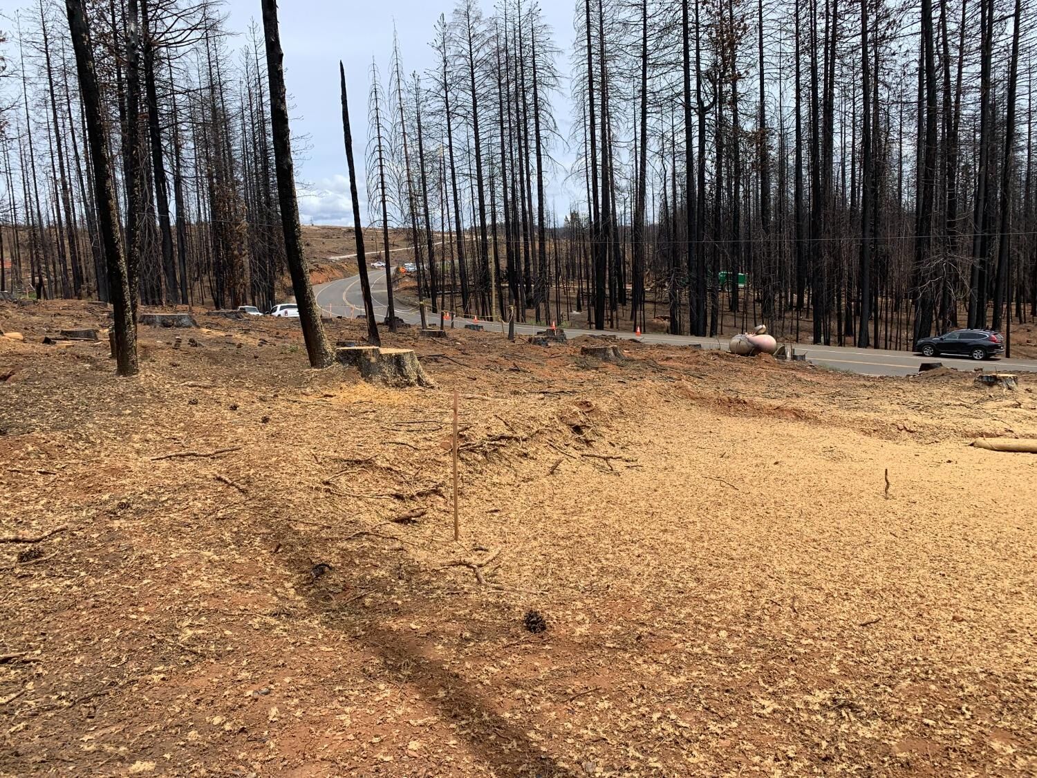 Property Photo: 4458 String Canyon Road CA 95684