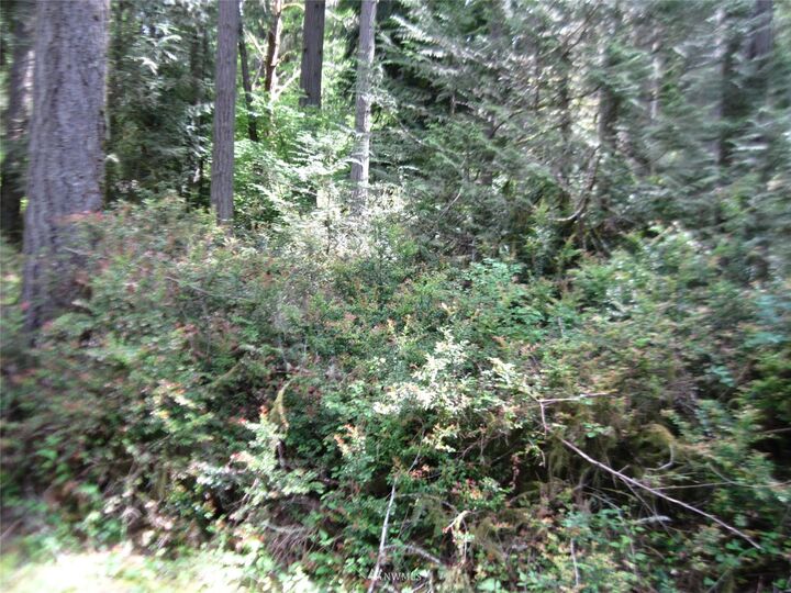 Property Photo: 11513 Breaker Way WA 98303