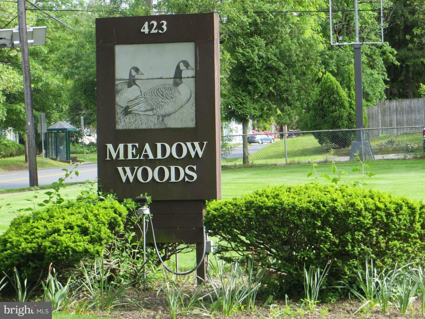 Property Photo:  423 Meadow Woods Lane 908  NJ 08648 