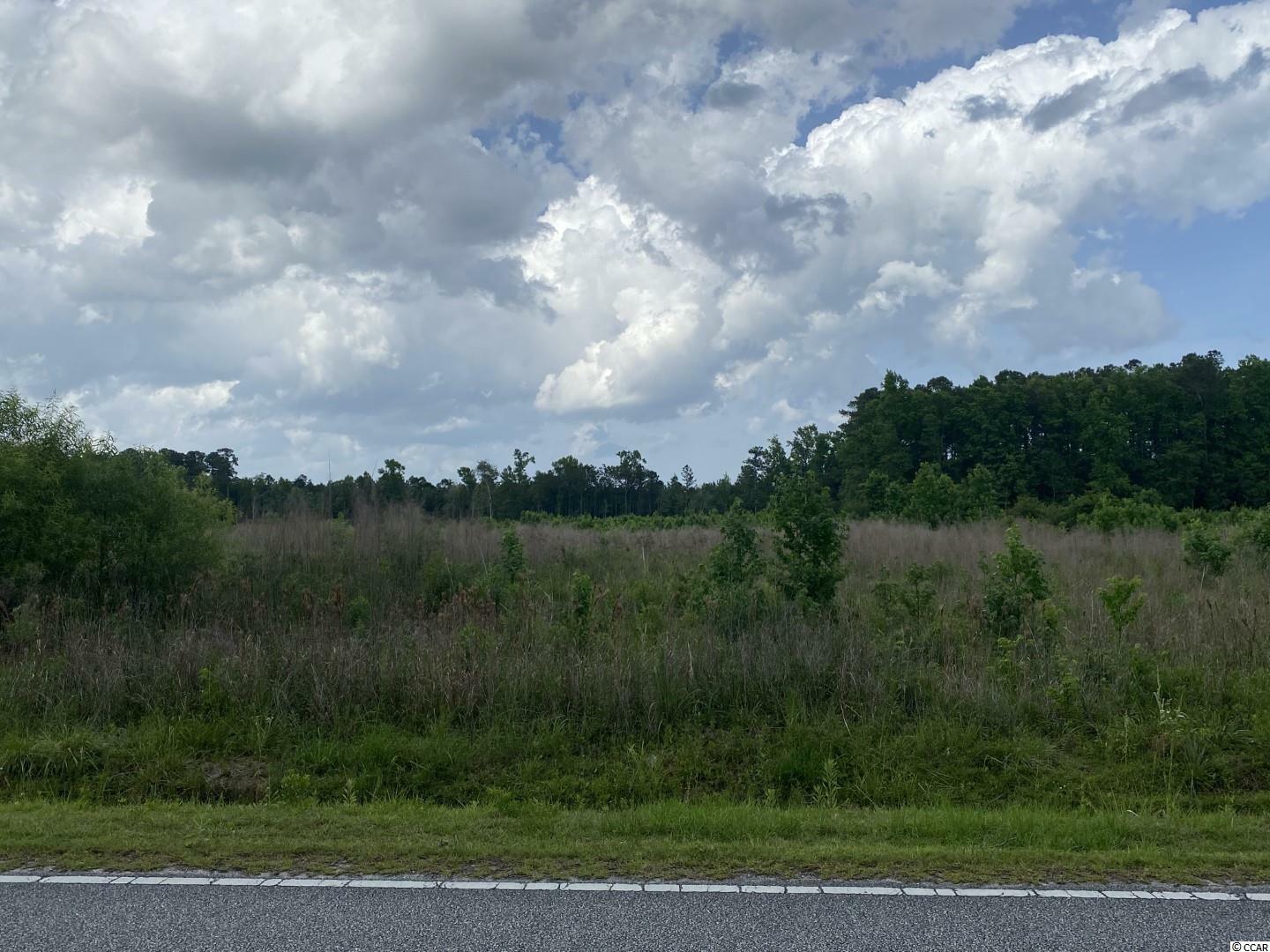 Property Photo:  Lot 3 Berley Mc Rd.  SC 29526 