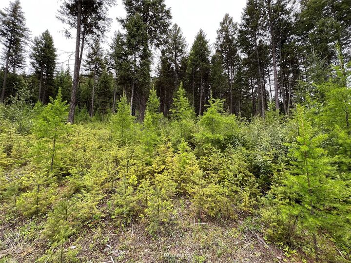 Property Photo:  0 Tbd Back Acre Lane  WA 99166 