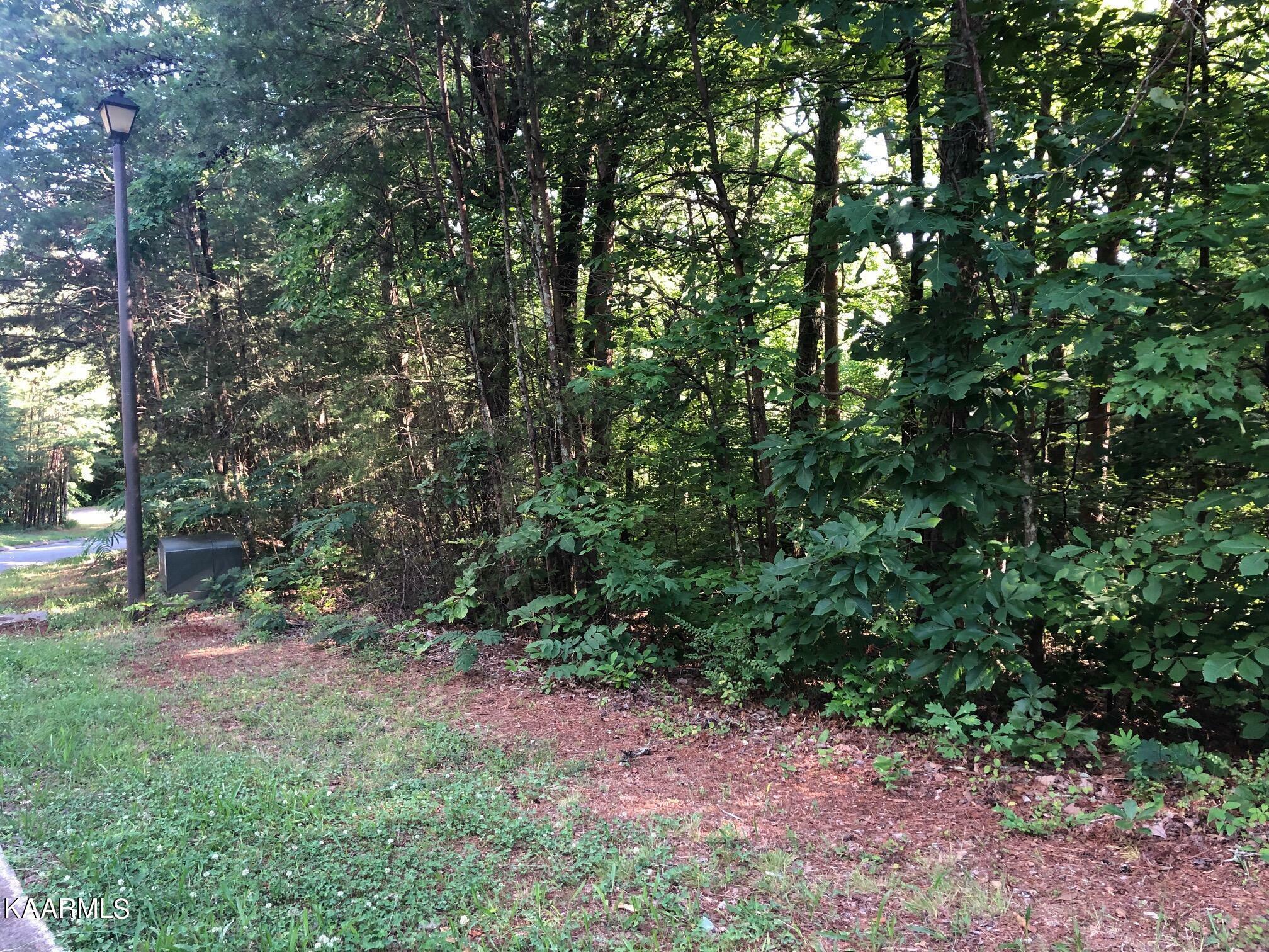 Property Photo:  Lot 15 Tidence Lane  TN 37303 