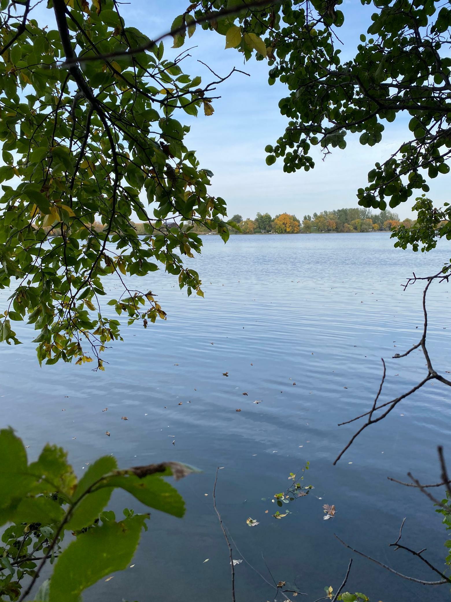 Property Photo:  Lot 11 Nature Bay Estates Road  MN 56311 