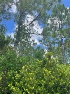 Property Photo:  32 Buffalo Meadow Lane  FL 32137 