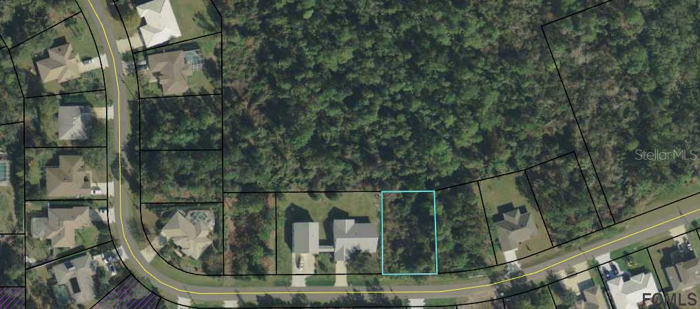 Property Photo: 35 Fernmill Lane FL 32137