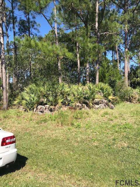 Property Photo: 19 Bayside Drive FL 32137
