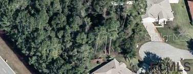 Property Photo:  8 Llethorn Place  FL 32164 