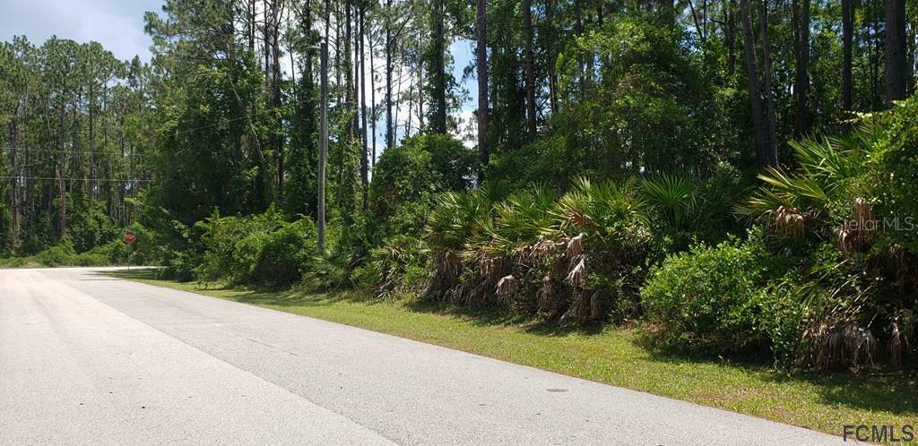 Property Photo:  3 Reidsville Drive  FL 32164 