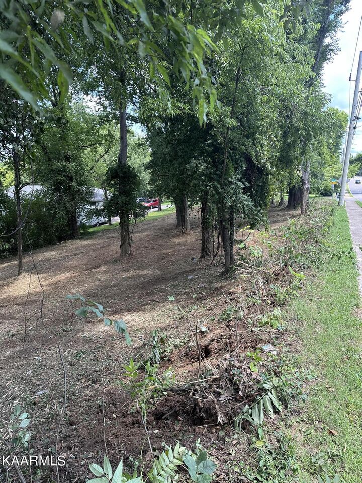 Property Photo:  SW Lot 10 Kingston Court  TN 37919 