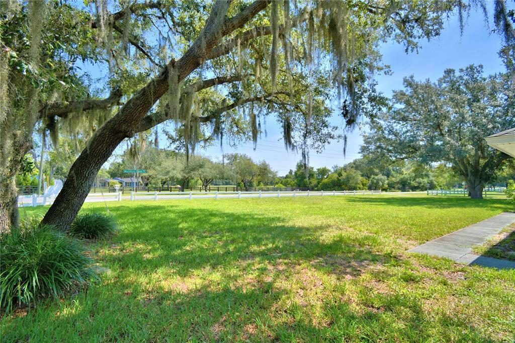 Property Photo:  3904 Mammoth Grove Road  FL 33898 