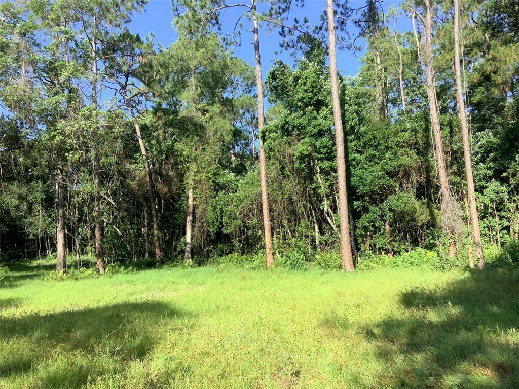 Property Photo: 2711 State Road 33 FL 34714