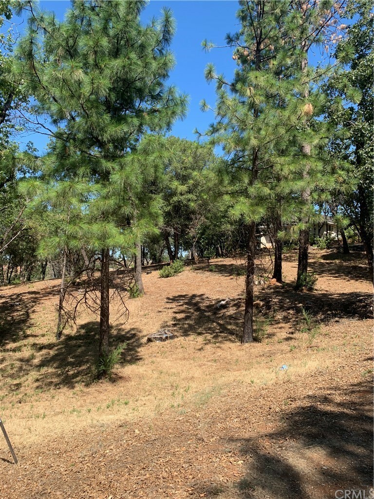 Property Photo:  4896 Malibu Drive  CA 95969 