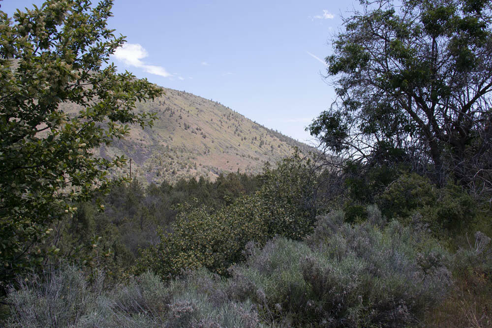 Property Photo:  Lot 38 Peregrine Heights  OR 97601 