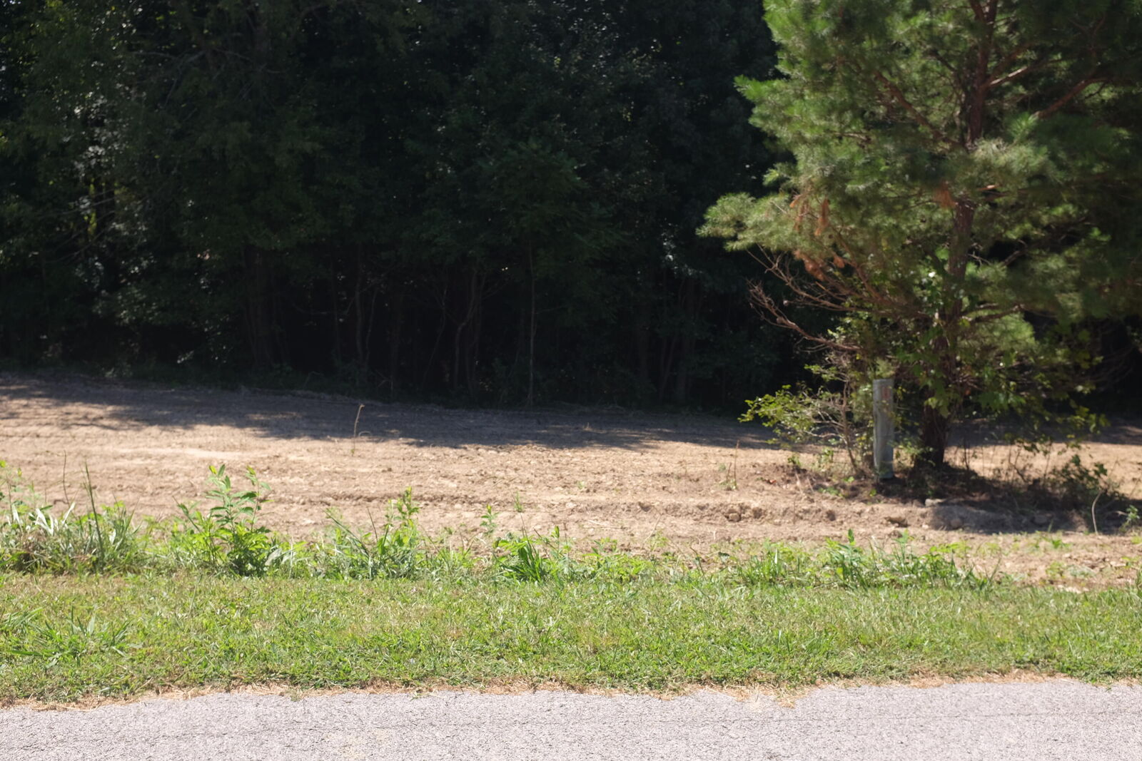 Property Photo:  55 Green Cove Drive Lot  KY 40741 