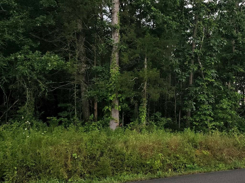 Property Photo: Lot 1 Lamontville Road TN 37322