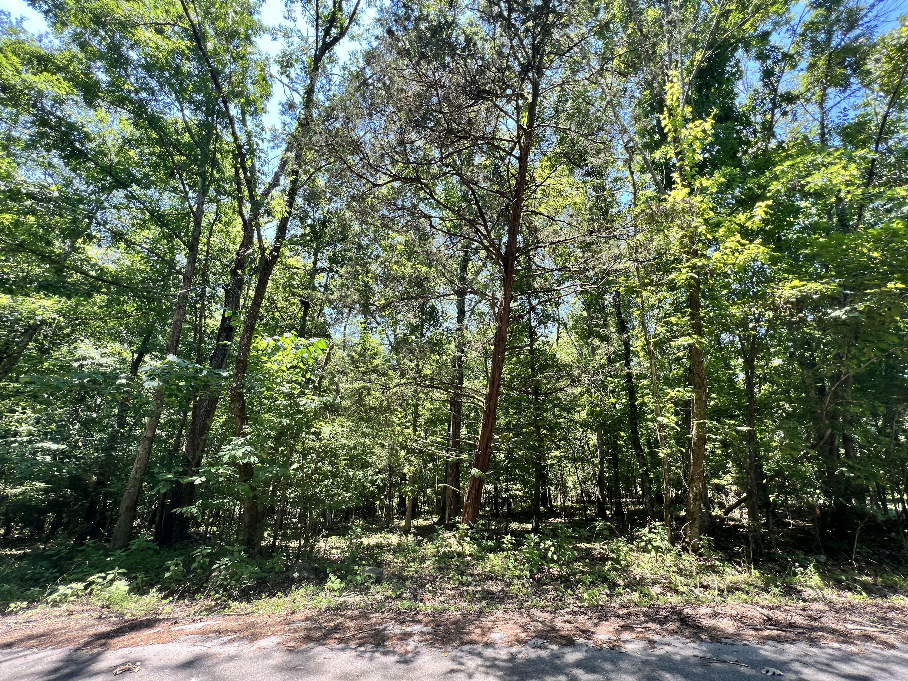 13413 Lisa Lane  Soddy Daisy TN 37379 photo
