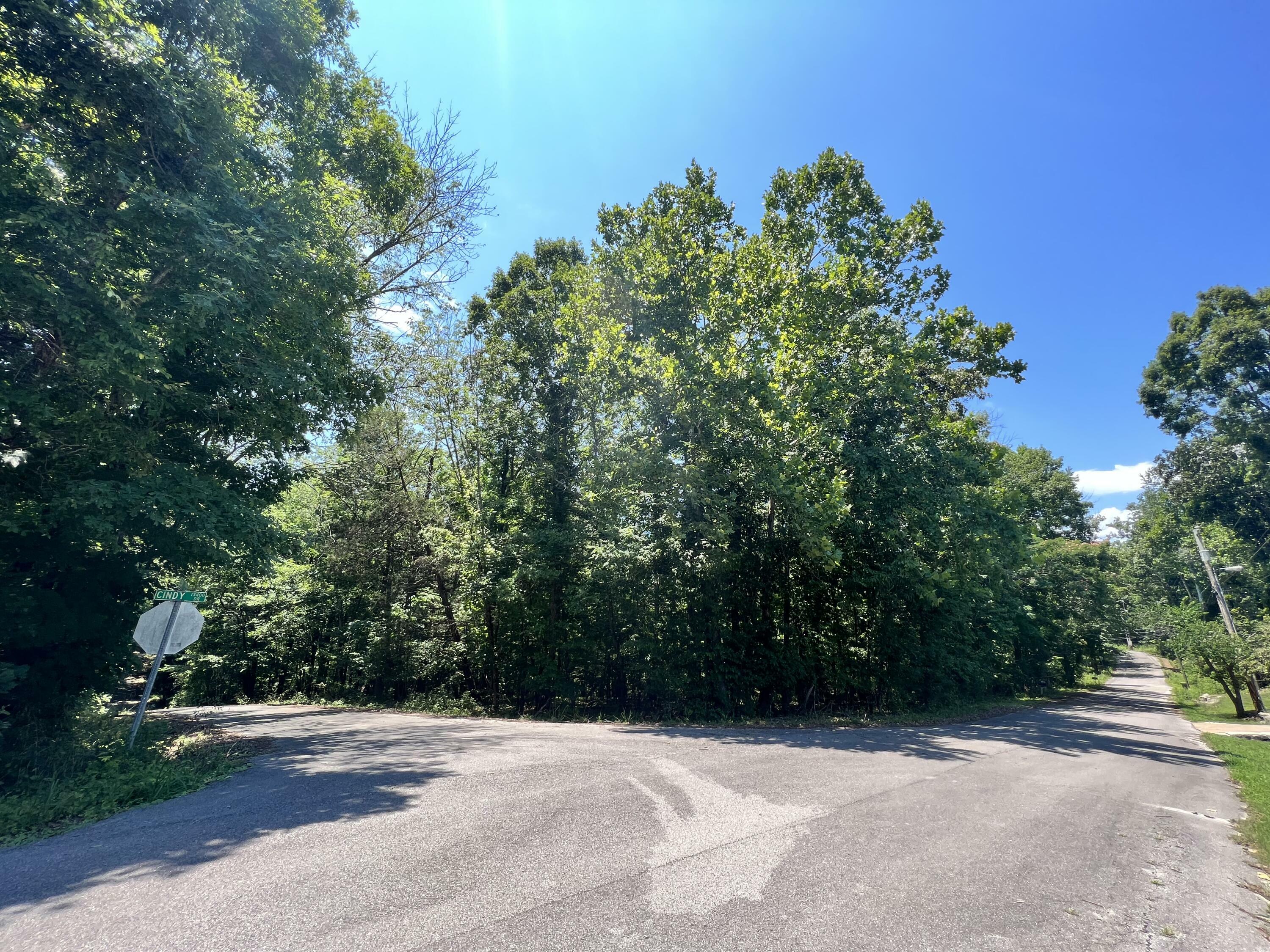 13415 Lisa Lane  Soddy Daisy TN 37379 photo