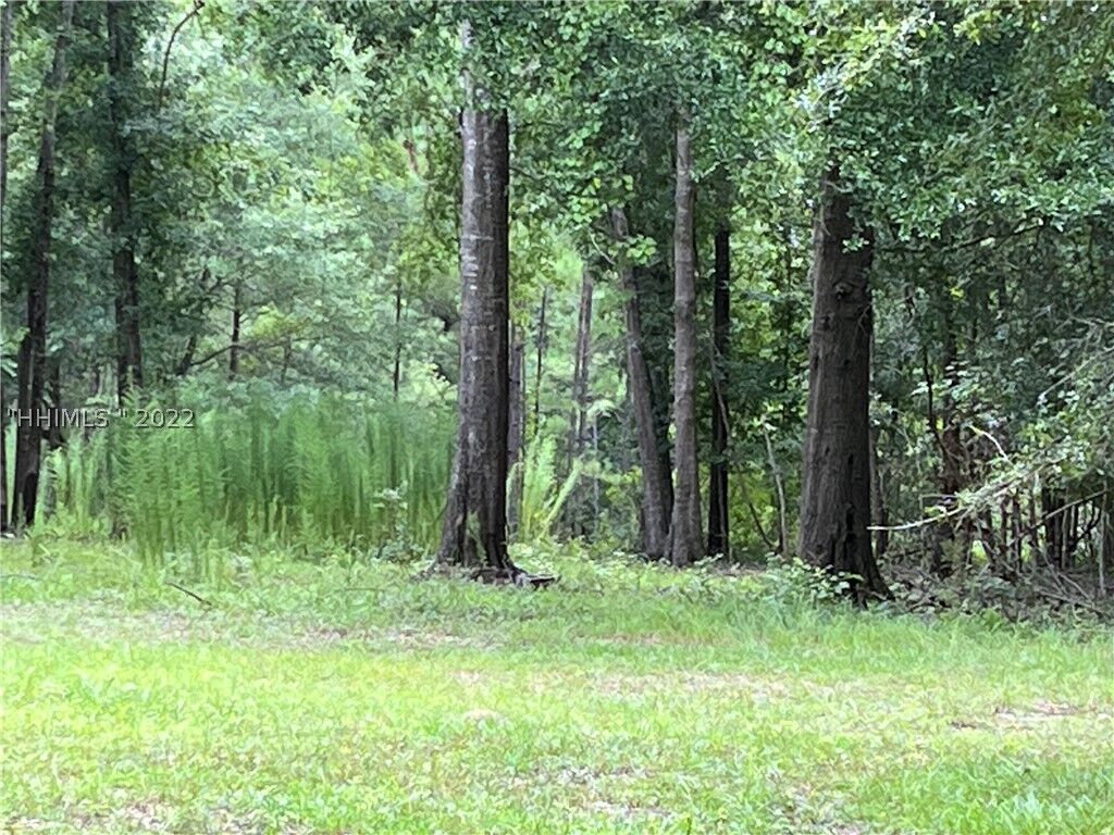 Property Photo:  6 Toms Way  SC 29910 