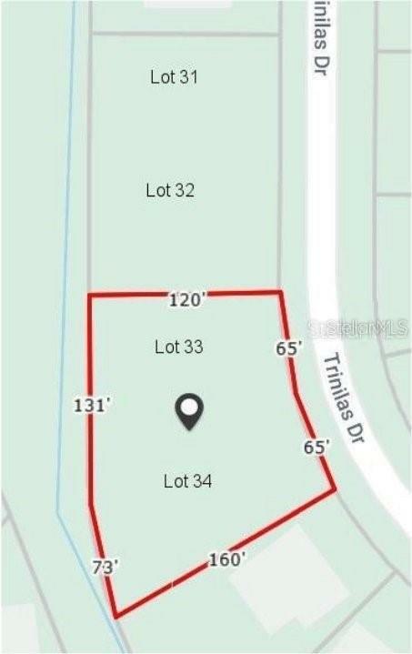 Property Photo: 26339 Trinilas Drive FL 33983
