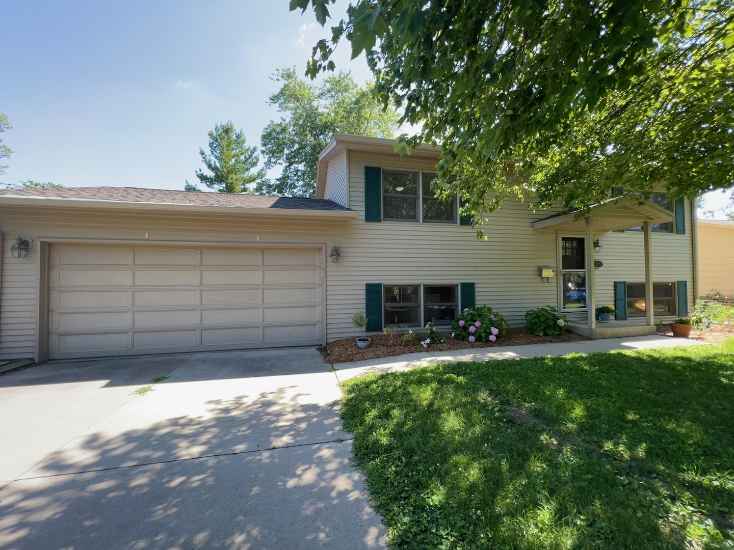 Property Photo:  505 E Summit Street  IL 61761 