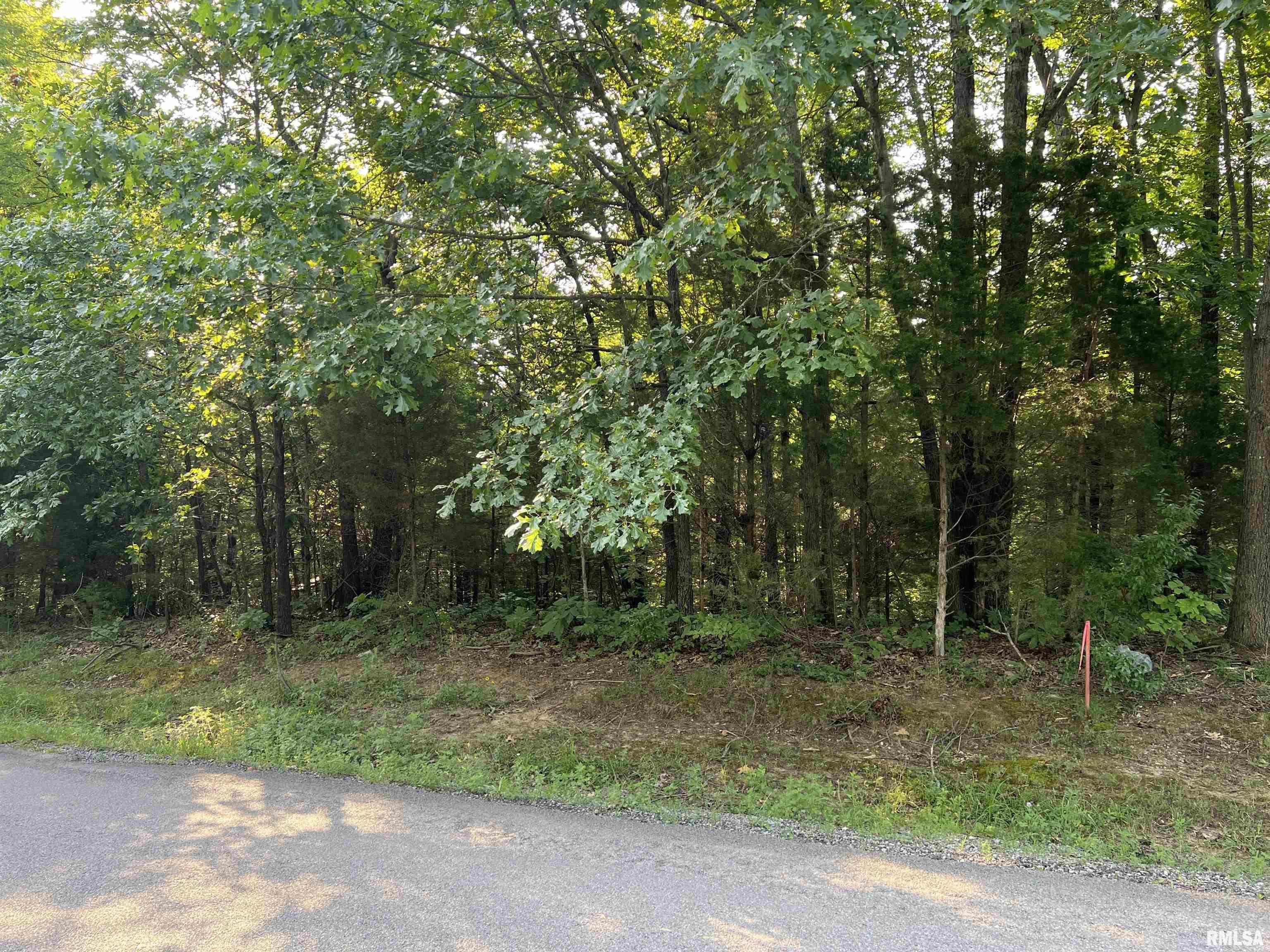 Property Photo: Lot 63 Indian Creek IL 62939