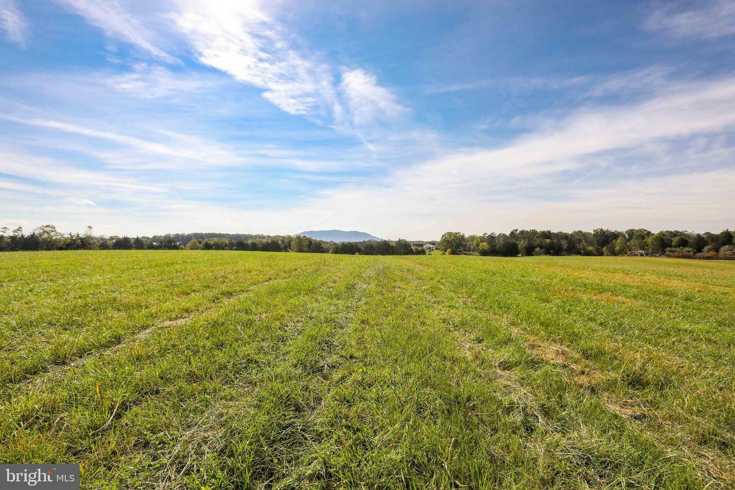 Property Photo:  Lot 6 Huttle Road  VA 22645 