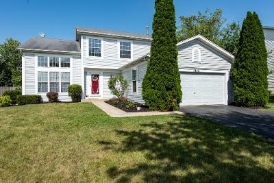 Property Photo: 1852 Kendall Ridge Boulevard IL 60586