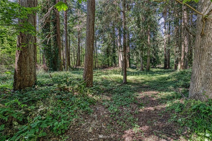 0 Sandy Hook Road NE  Poulsbo WA 98370 photo