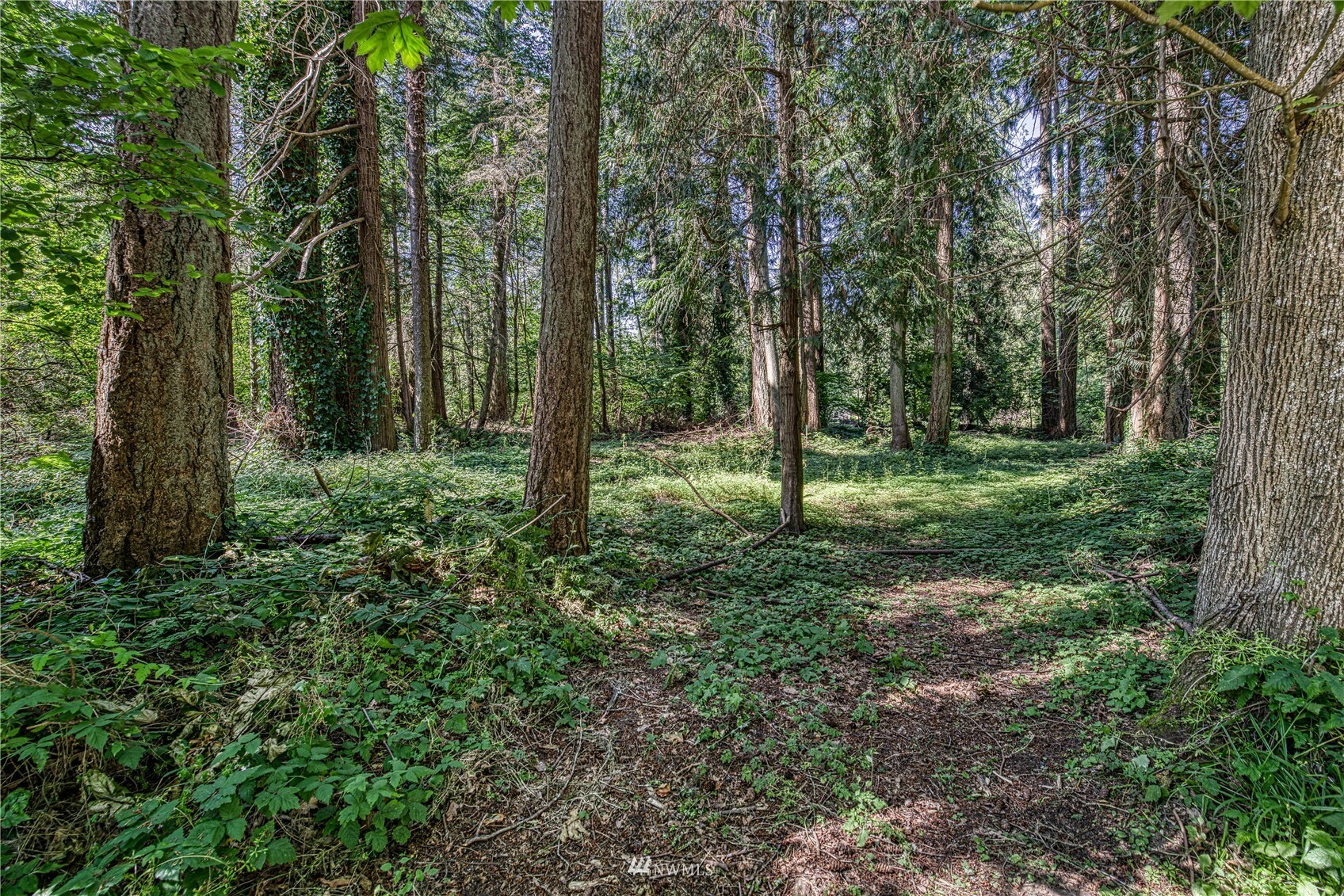 Property Photo:  0 Sandy Hook Road NE  WA 98370 