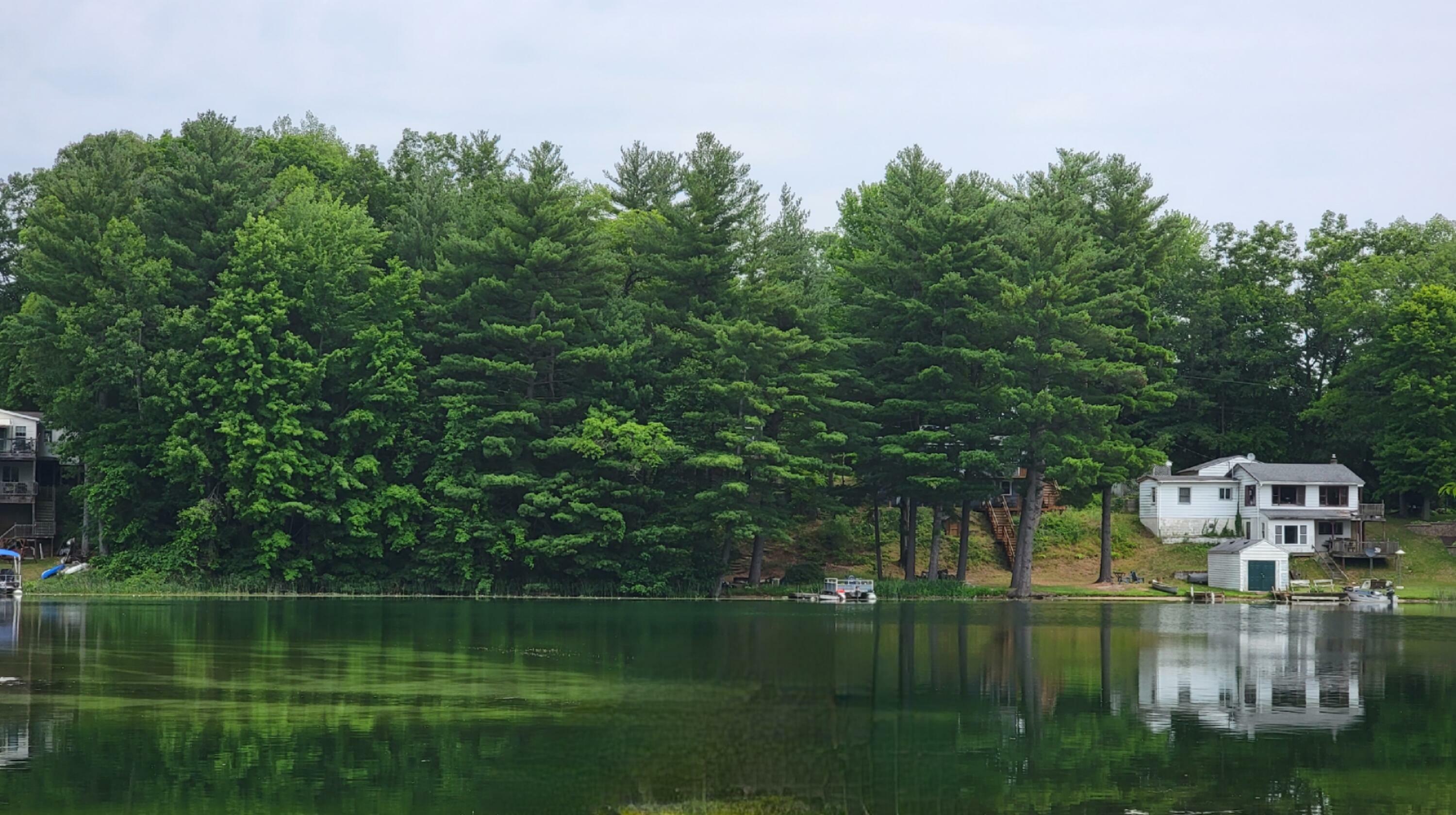 Property Photo: Lot 51 Tacoma Drive NW MI 48888