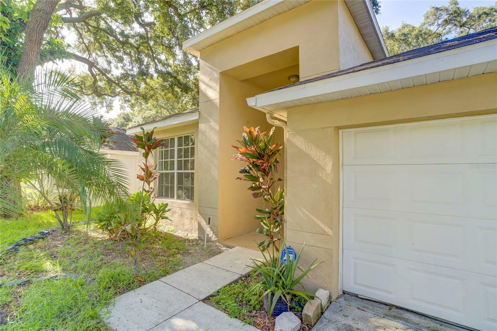 Property Photo:  4638 Dunnie Drive  FL 33614 