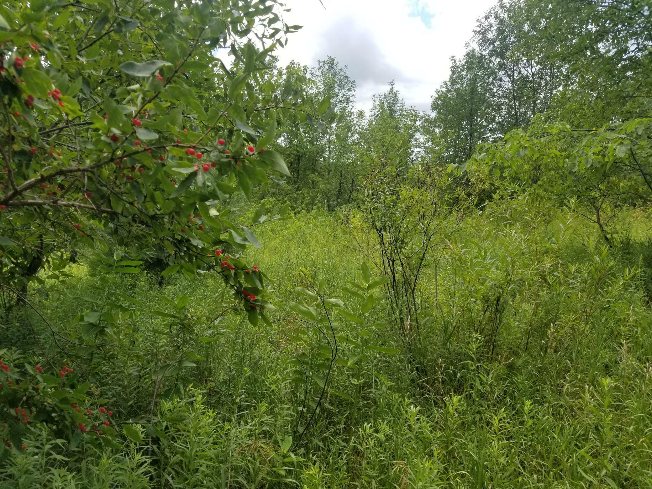 Property Photo:  Lot 11 94th Avenue  WI 54009 