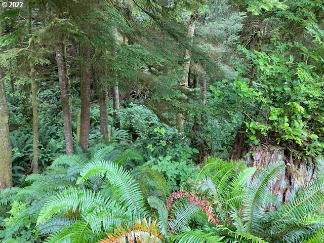 9th St NW  Cape Meares OR 97141 photo
