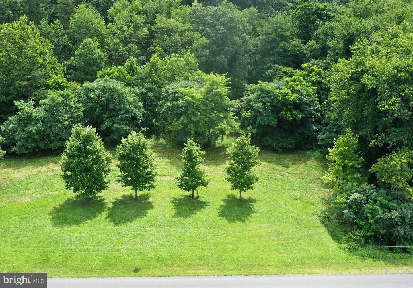 Property Photo:  Lot 114A Cedar Grove Road  VA 22603 