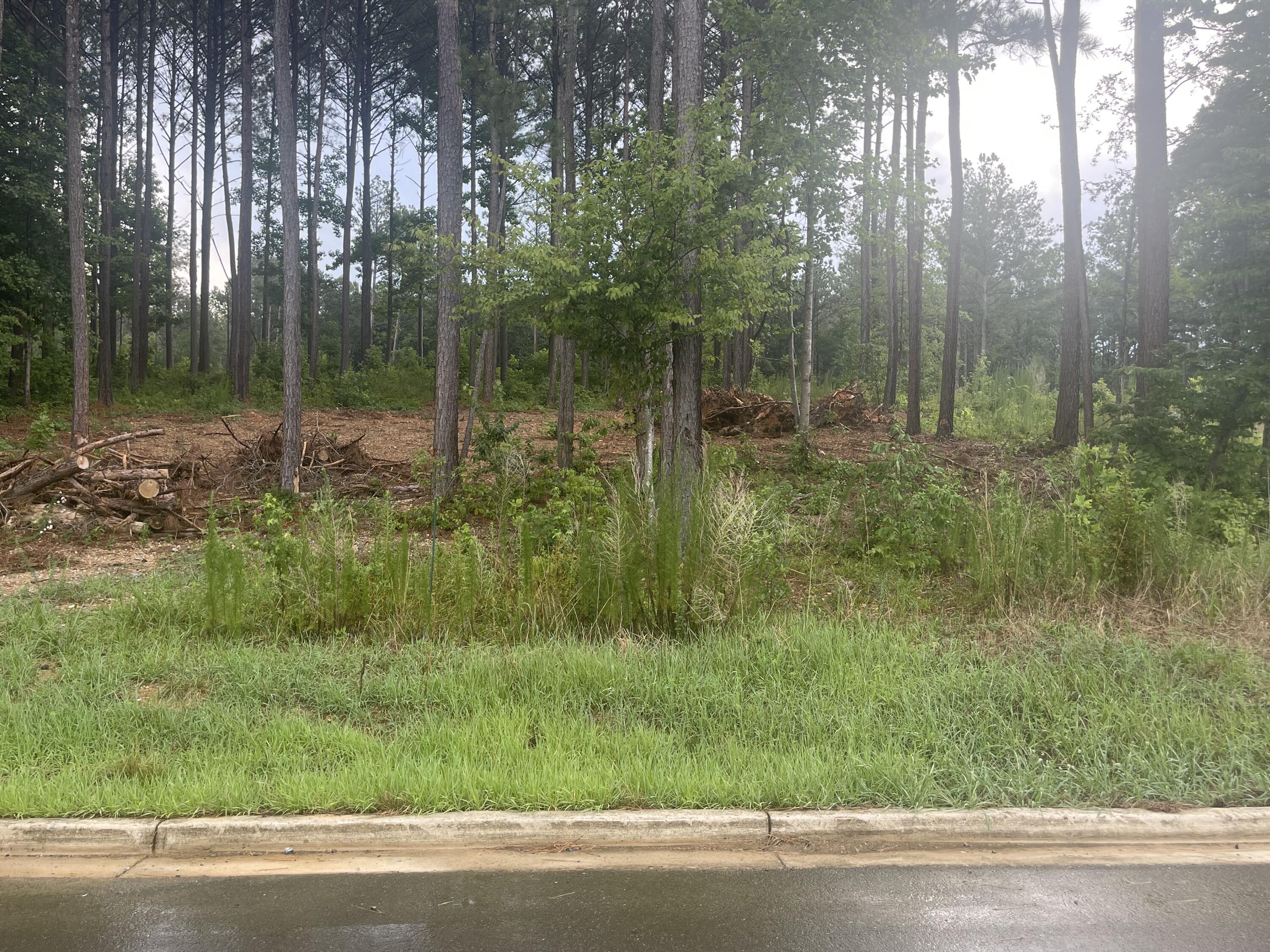 Property Photo:  0 NE Crow Road  GA 30721 