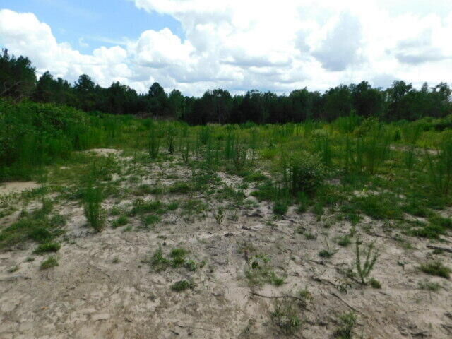 Property Photo:  110 J Shows Rd.  MS 39479 