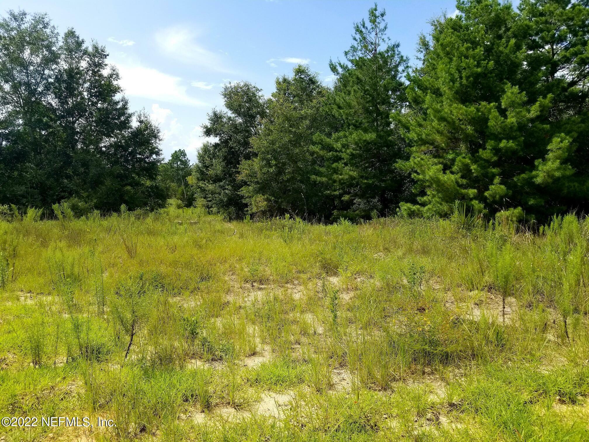 Property Photo: 0 Unassigned FL 32181