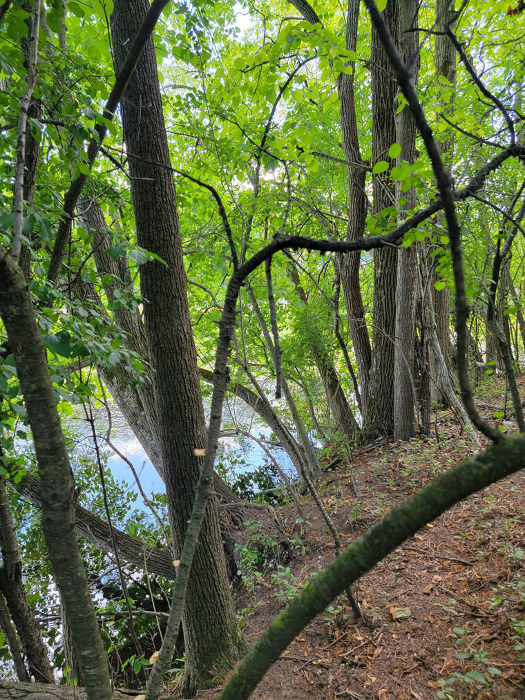 Property Photo: Lt20 Road L Rd WI 53066