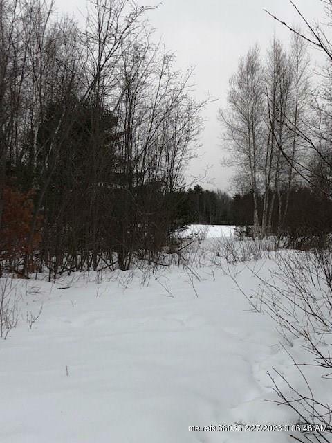 Property Photo:  Lot 12-2-1 Merrill Road  ME 04428 