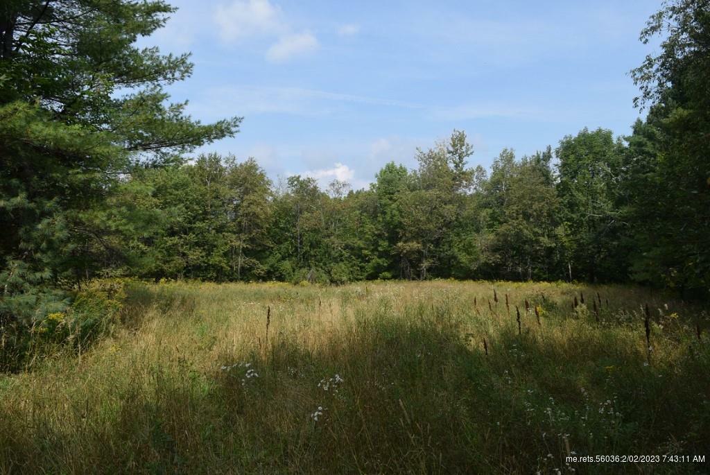 Property Photo:  Lots 185,1 Tyler & Loggin Road  ME 04438 